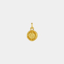 Load image into Gallery viewer, DIY Roots Coin Charm