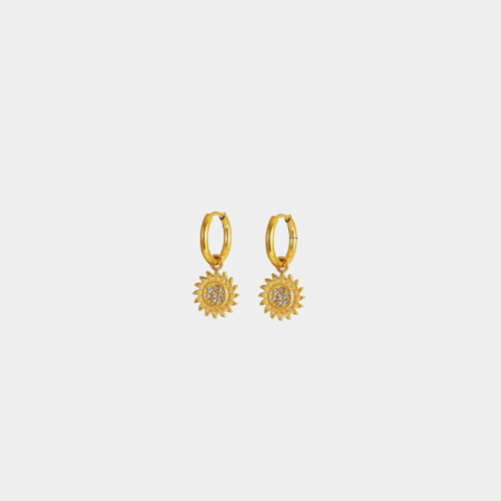 Sunshine hoops